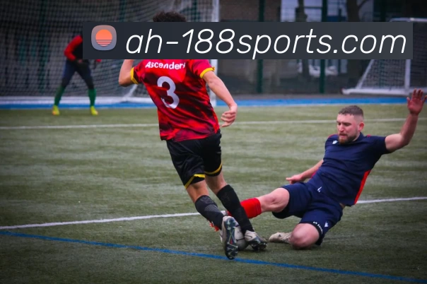 188体育投注平台生态图